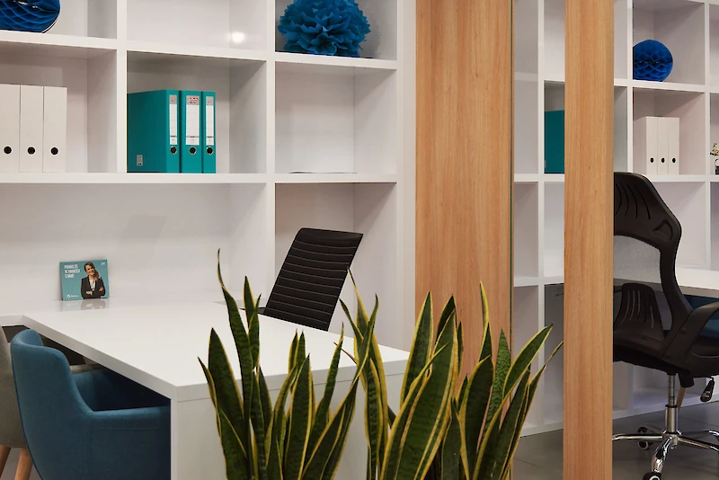 Ilustrační obrázek - profesionalita