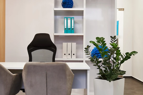 Detail polic s pořadači a šanony